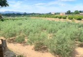 Xalet independent amb terreny en venda a Tortosa ref.: TR187444 foto