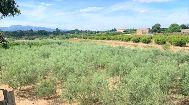 Tarragona - Tortosa - 4977m2