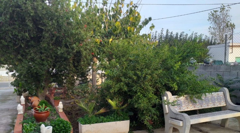 Tarragona - Deltebre - 1200m2