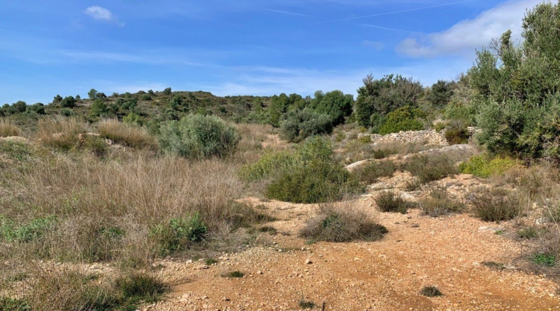 Tarragona - Tortosa - 10000m2
