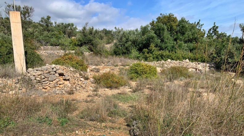 Tarragona - Tortosa - 10000m2