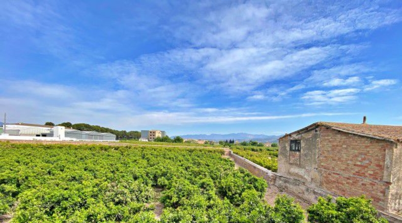 Tarragona - Tortosa - 60000m2