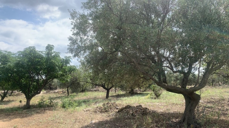 Tarragona - Aldover - 1m2