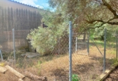 Casa de camp amb terreny en venda a Aldover ref.: TR274687 foto