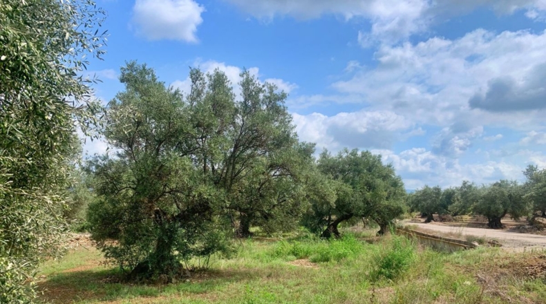 Tarragona - Aldover - 1m2