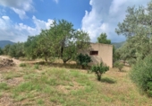 Casa de camp amb terreny en venda a Aldover ref.: TR274687 foto