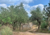 Casa de camp amb terreny en venda a Aldover ref.: TR274687 foto