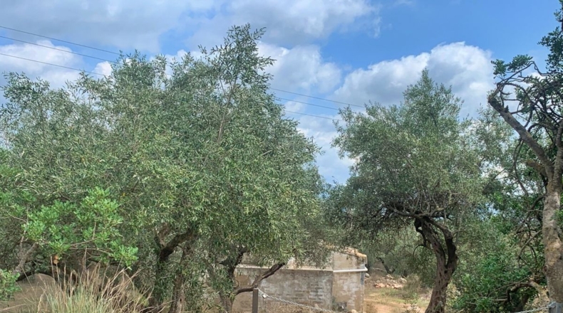 Tarragona - Aldover - 1m2