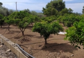 Sòl urbà en venda a Tortosa ref.: TR45743 foto