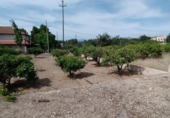 Sòl urbà en venda a Tortosa ref.: TR45743 foto