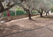 Sòl urbà en venda a Tortosa ref.: TR45743 foto