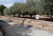 Sòl urbà en venda a Tortosa ref.: TR45743 foto