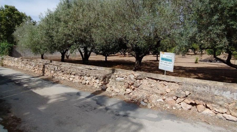 Tarragona - Tortosa - 1989m2