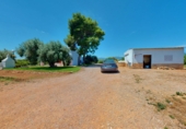 Masia amb terreny en venda a Tortosa ref.: TR48293 foto