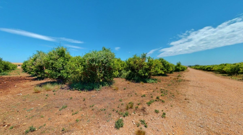 Tarragona - Tortosa - 90000m2