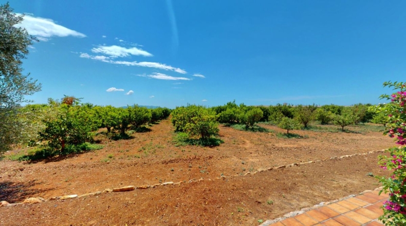Tarragona - Tortosa - 90000m2
