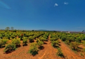 Masia amb terreny en venda a Tortosa ref.: TR48293 foto