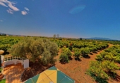 Masia amb terreny en venda a Tortosa ref.: TR48293 foto