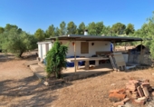 Casa de camp amb terreny en venda a Xerta ref.: TR276865 foto