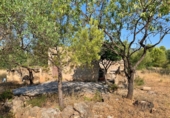 Casa de camp amb terreny en venda a Xerta ref.: TR276865 foto