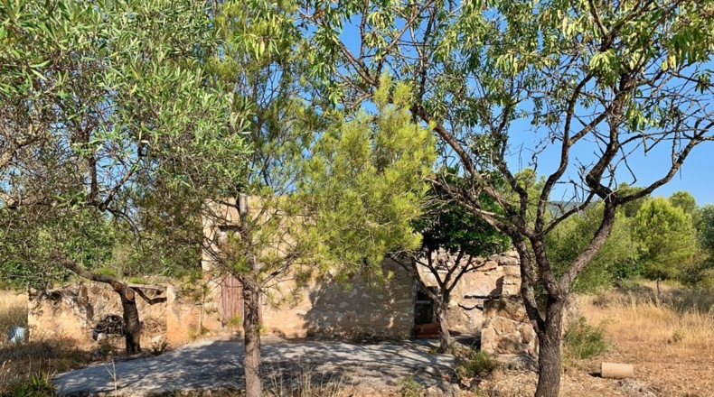 Tarragona - Xerta - 29000m2