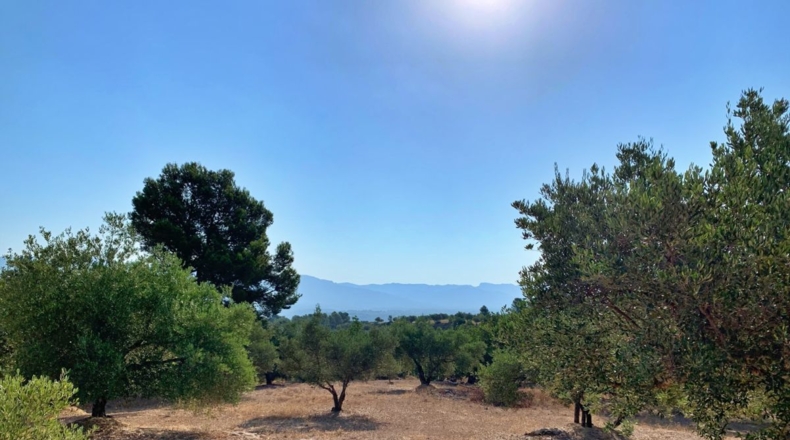 Tarragona - Xerta - 29000m2