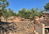 Casa de camp amb terreny en venda a Xerta ref.: TR276865 foto