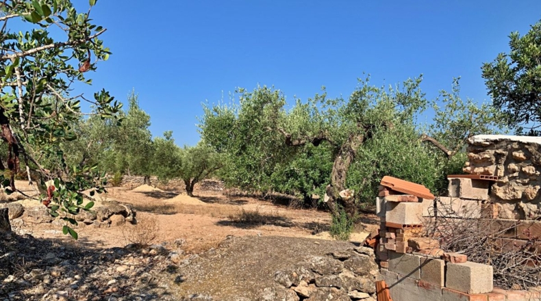 Tarragona - Xerta - 29000m2