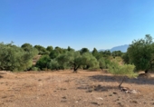 Casa de camp amb terreny en venda a Xerta ref.: TR276865 foto