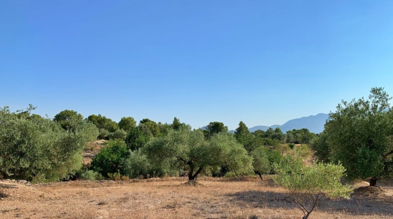 Tarragona - Xerta - 29000m2