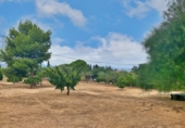 Detached villa with land for sale in Tortosa ref: TR58595 photo
