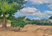 Detached villa with land for sale in Tortosa ref: TR58595 photo
