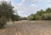 Finca rústica en venda a Alfara de Carles ref.: TR278021 foto
