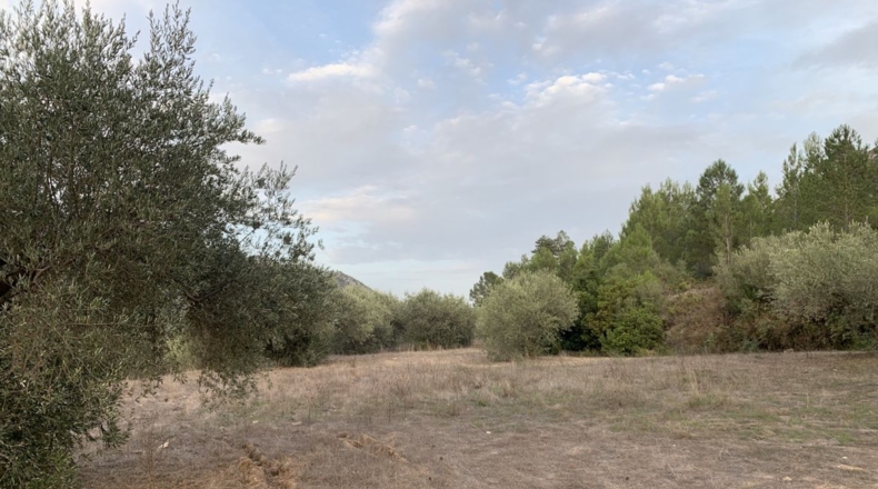 Tarragona - Alfara de Carles - 1m2
