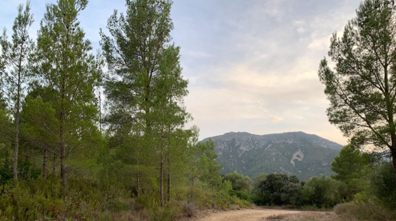 Tarragona - Alfara de Carles - 1m2