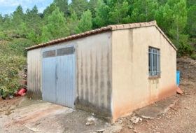 Foto 1