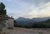 Finca rústica en venda a Alfara de Carles ref.: TR278021 foto
