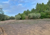 Finca rústica en venda a Alfara de Carles ref.: TR278021 foto