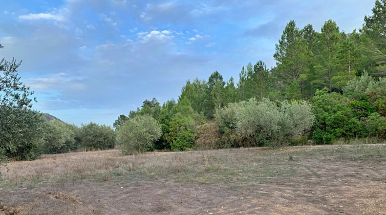 Tarragona - Alfara de Carles - 1m2