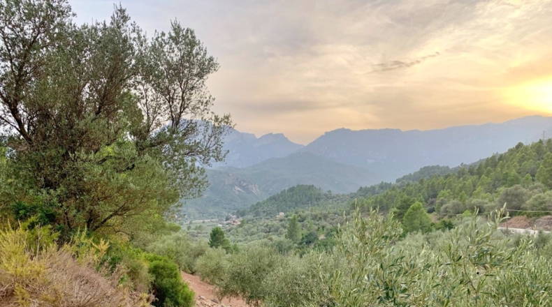 Tarragona - Alfara de Carles - 1m2