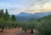 Finca rústica en venda a Alfara de Carles ref.: TR278021 foto