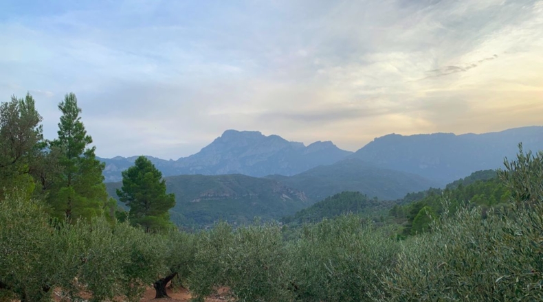 Tarragona - Alfara de Carles - 1m2
