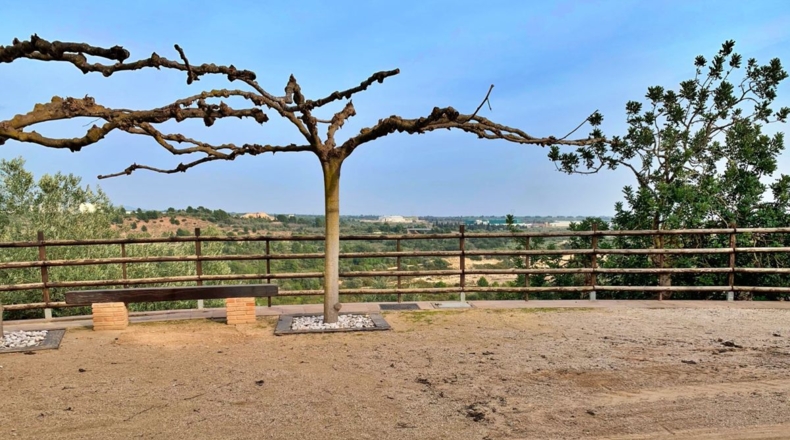Tarragona - els Reguers - 10311m2