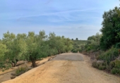 Xalet independent amb terreny en venda a Tortosa ref.: TR68230 foto