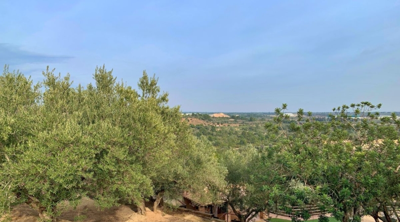 Tarragona - els Reguers - 10311m2