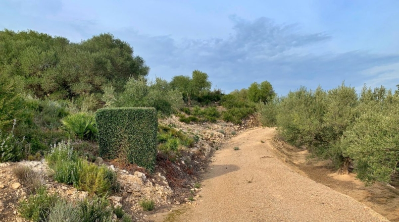 Tarragona - els Reguers - 10311m2