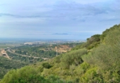 Xalet independent amb terreny en venda a Tortosa ref.: TR68230 foto