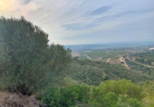 Xalet independent amb terreny en venda a Tortosa ref.: TR68230 foto