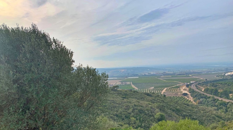 Tarragona - els Reguers - 10311m2
