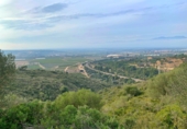 Xalet independent amb terreny en venda a Tortosa ref.: TR68230 foto